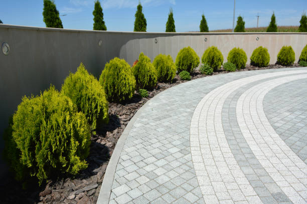 Best Custom Driveway Pavers  in Nicoma Park, OK